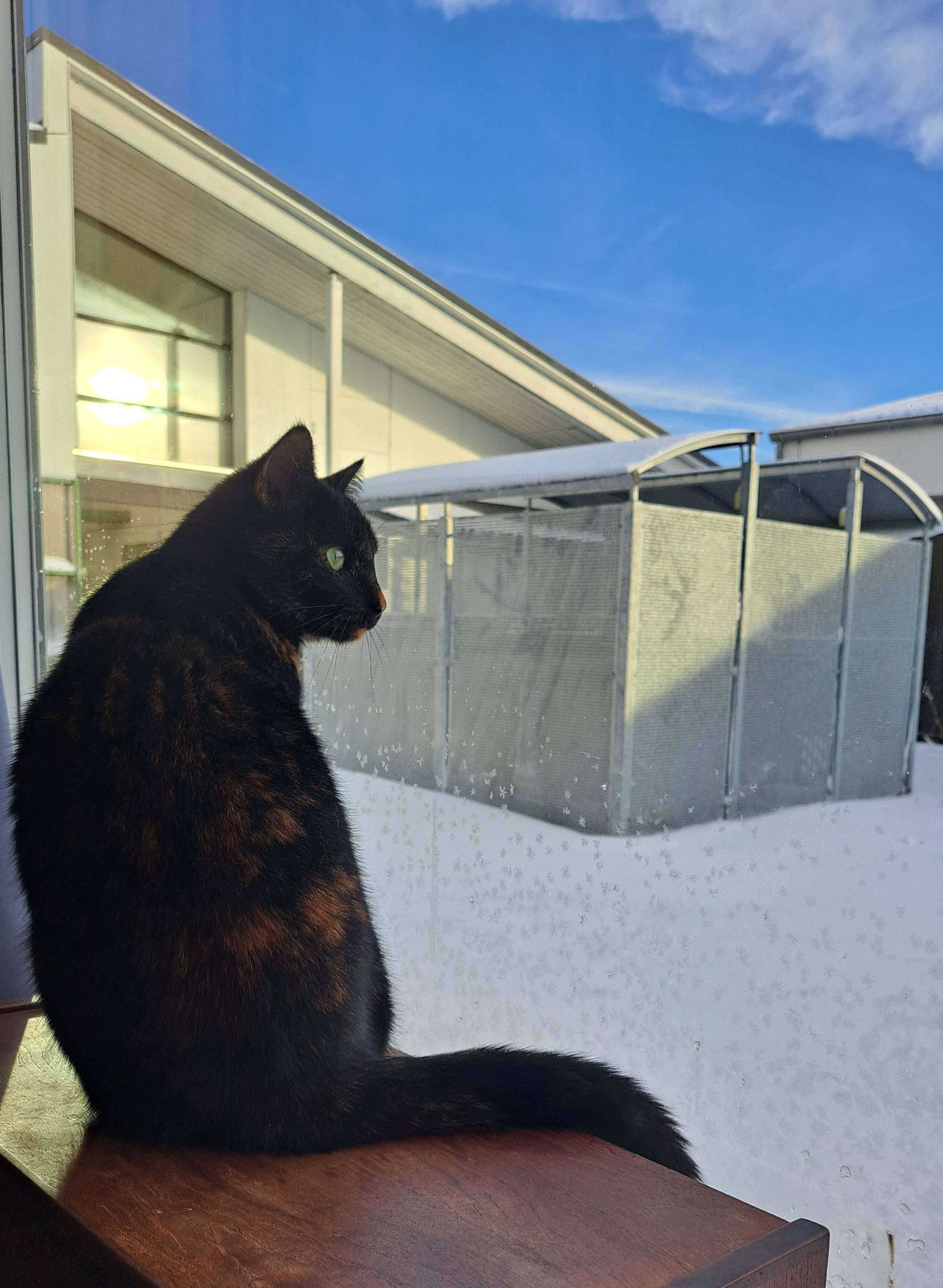 Autocomplete example